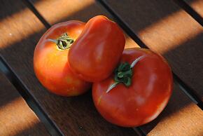 Elounda Solfez Villas