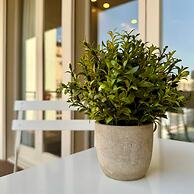 Barcelona Gem Penthouse By Myrentalhost