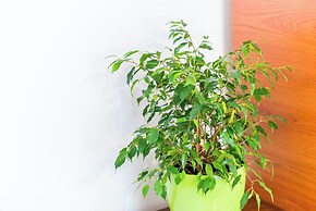 Art Apartment Seasoul