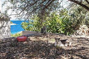 Olive's Garden House