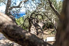 Olive's Garden House