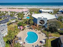 Hibiscus H104 in St Augustine