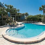 Hibiscus H104 in St Augustine