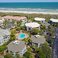 Hibiscus H104 in St Augustine
