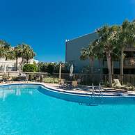 Hibiscus H104 in St Augustine