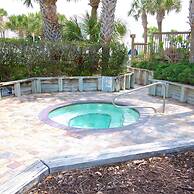 Hibiscus H104 in St Augustine