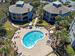 Hibiscus H104 in St Augustine