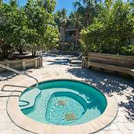 Hibiscus H104 in St Augustine
