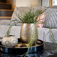 Sunnybrook in Shaldon