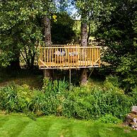 Weeke Brook - A Quintessential Thatched Cottage