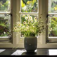 Weeke Brook in Chagford