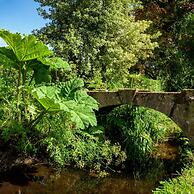 Weeke Brook in Chagford