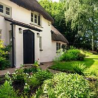 Weeke Brook in Chagford