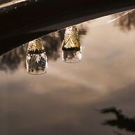 Swallows End in Lower Ashton