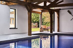 Swifts Return in Lower Ashton