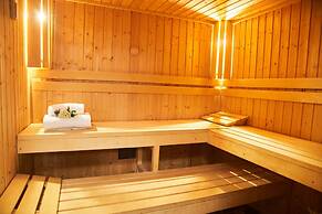 Swifts Return in Lower Ashton