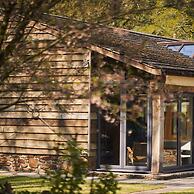 Swifts Return in Lower Ashton