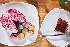 Swifts Return in Lower Ashton