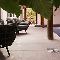 Swifts Return in Lower Ashton