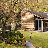 Swifts Return in Lower Ashton