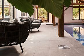 Swifts Return in Lower Ashton