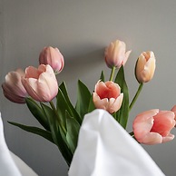 Cathedral Yard in Exeter