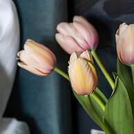 Cathedral Yard in Exeter