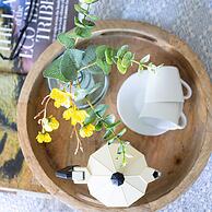 The Round House in Ilfracombe