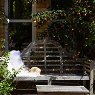 The Round House in Ilfracombe