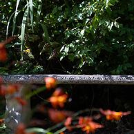 The Round House in Ilfracombe