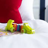 Homefield in Dartmouth