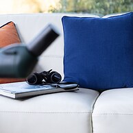 Homefield in Dartmouth