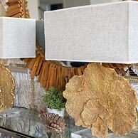 Homefield in Dartmouth