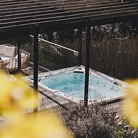 The Curlews in Bishopsteignton