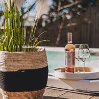 The Curlews in Bishopsteignton