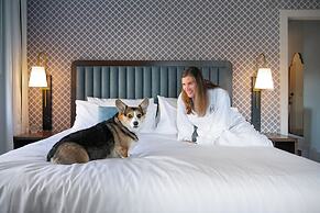 Hotel Petersburg, Tapestry Collection By Hilton