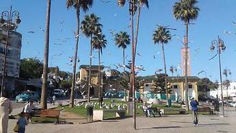 studio holanda city center