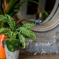 Haldon View in Bishopsteignton