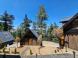 BlackPearl Cottages - Kufri