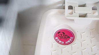 Gapyeong Chagall Spa Pension