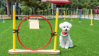 Gapyeong Chagall Spa Pension