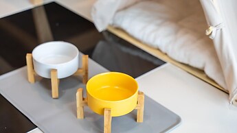 Gapyeong Chagall Spa Pension