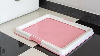 Gapyeong Chagall Spa Pension