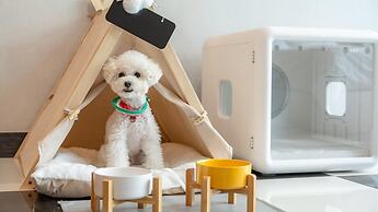 Gapyeong Chagall Spa Pension