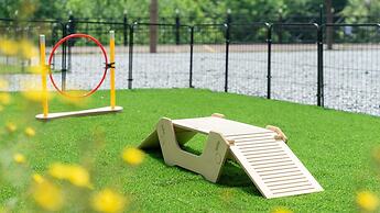 Gapyeong Chagall Spa Pension