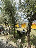 Montagna PODS