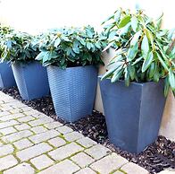 Stay Norwich Apartments 17colgate