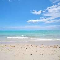 Beach Life in Hollywood