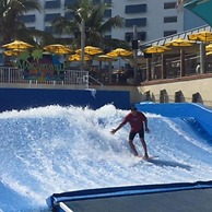 Beach Life in Hollywood