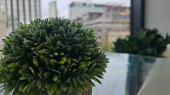 Cozy Liverpool Apartment With 2 Bedrooms